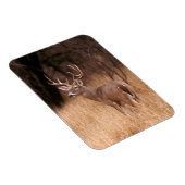 White Tailed Deer | State Park Choke Canyon, TX Magneet (Rechterzijde)