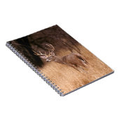 White Tailed Deer | State Park Choke Canyon, TX Notitieboek (Rechterzijde)