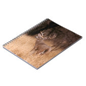 White Tailed Deer | State Park Choke Canyon, TX Notitieboek (Linkerzijde)