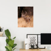White Tailed Deer | State Park Choke Canyon, TX Poster (Thuiskantoor)