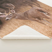 White Tailed Deer | State Park Choke Canyon, TX Sherpa Deken (3/4)