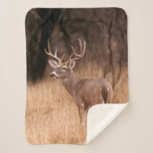 White Tailed Deer | State Park Choke Canyon, TX Sherpa Deken (Voorkant)