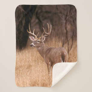 White Tailed Deer   State Park Choke Canyon, TX Sherpa Deken