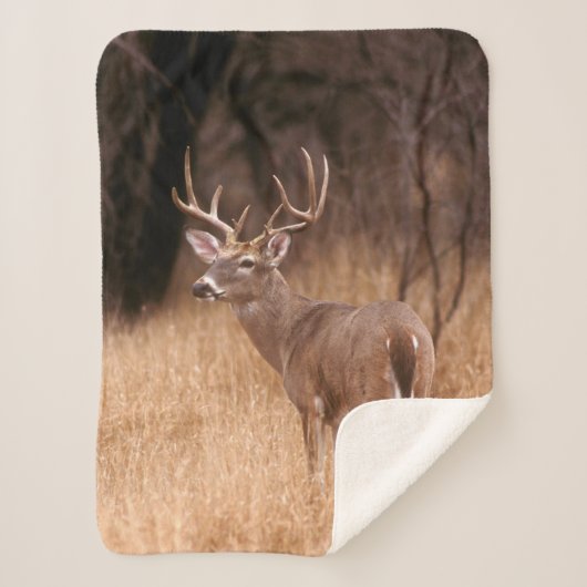 White Tailed Deer | State Park Choke Canyon, TX Sherpa Deken (Voorkant)