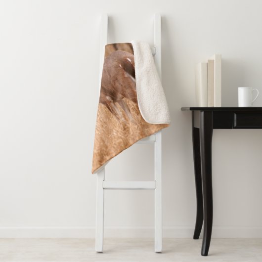 White Tailed Deer | State Park Choke Canyon, TX Sherpa Deken (In situ)