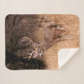 White Tailed Deer | State Park Choke Canyon, TX Sherpa Deken (Voorkant (horizontaal))