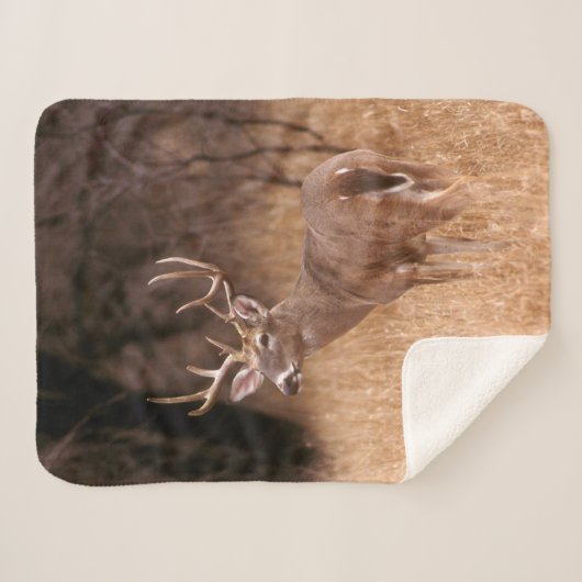 White Tailed Deer | State Park Choke Canyon, TX Sherpa Deken (Voorkant (horizontaal))