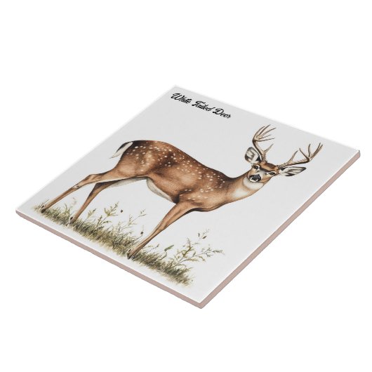 White Tailed Deer Tegeltje (Zijkant)