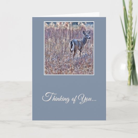 White-Tailed Deer - Thinking of You Card Kaart (Voorkant)