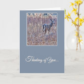 White-Tailed Deer - Thinking of You Card Kaart (Gele Bloem)