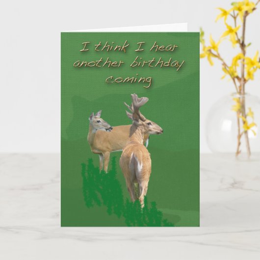 White-Tailed Deer Verjaardag Kaart (Gele Bloem)