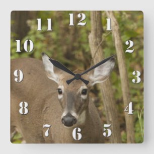 White Tailed Deer Vierkante Klok