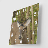 White Tailed Deer Vierkante Klok (Hoek)