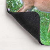 White Tailed Vrouw Deer Muismat (Hoek)