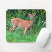 White Tailed Vrouw Deer Muismat (Met muis)