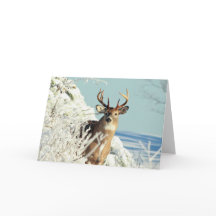 White Tailing Deer Big Buck Winter Scene
