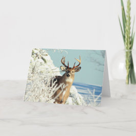 White Tailing Deer Big Buck Winter Scene Kaart