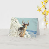 White Tailing Deer Big Buck Winter Scene Kaart (Gele Bloem)