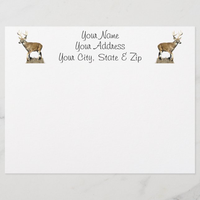 White Tailing Deer Buck (Voorkant)