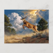 White Tailing Deer Buck Briefkaart (Voorkant)