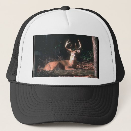 White Tailing Deer Buck Foto Trucker Pet (Voorkant)