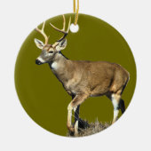 White Tailing Deer Buck Keramisch Ornament (Voorkant)