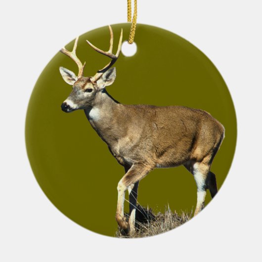 White Tailing Deer Buck Keramisch Ornament (Voorkant)