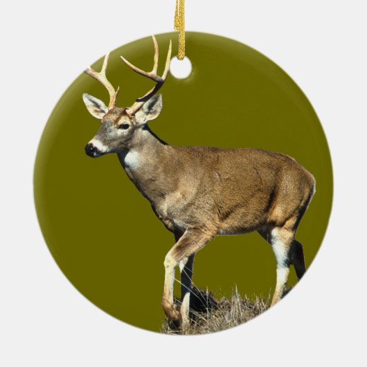 White Tailing Deer Buck Keramisch Ornament (Achterkant)