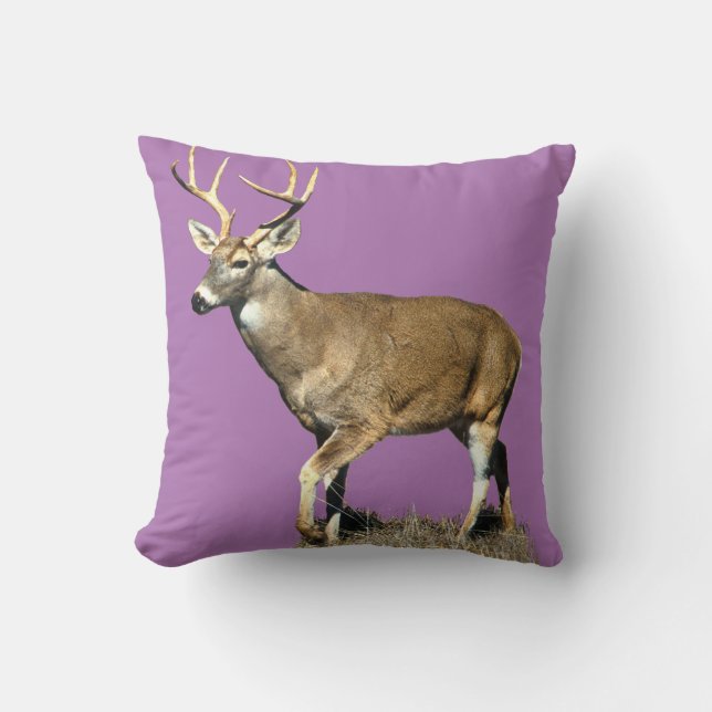 White Tailing Deer Buck Kussen (Voorkant)