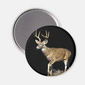 White Tailing Deer Buck Magneet (Voorkant / Achterkant)