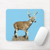 White Tailing Deer Buck Muismat (Met muis)