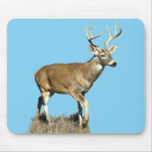 White Tailing Deer Buck Muismat (Voorkant)