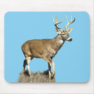 White Tailing Deer Buck Muismat