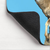White Tailing Deer Buck Muismat (Hoek)