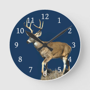 White Tailing Deer Buck Ronde Klok