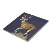 White Tailing Deer Buck Tegeltje (Zijkant)