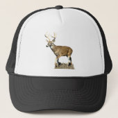 White Tailing Deer Buck Trucker Pet (Voorkant)