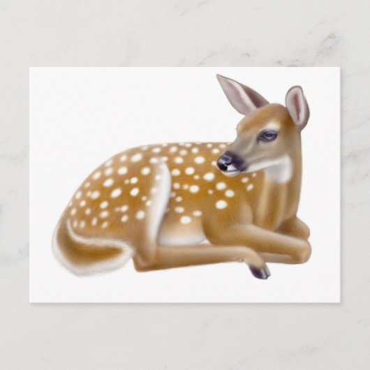 White Tailing Deer Fawn Briefkaart (Voorkant)