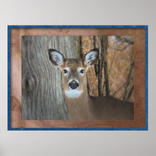 White Tailing Deer opvallend Poster