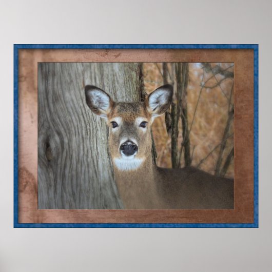 White Tailing Deer opvallend Poster (Voorkant)