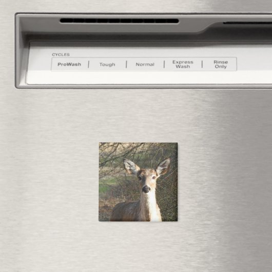 White Tailing Deer Sluiten Magneet (Insitu (Vaatwasser))