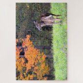 White Tailing Up Close Legpuzzel (Verticaal)