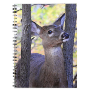 White Tailing Up Close Notitieboek