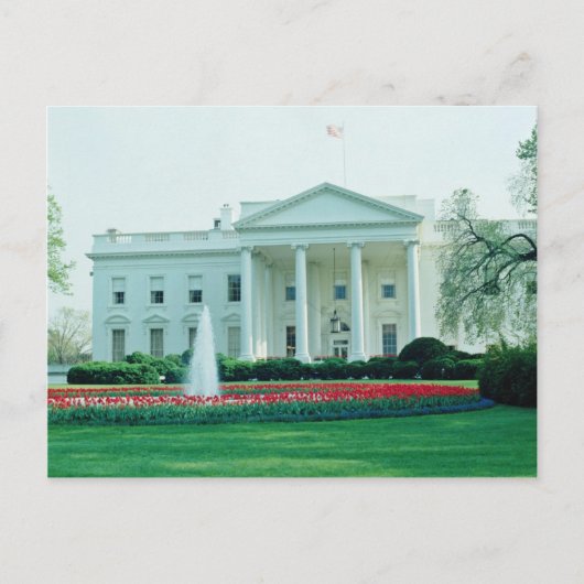 White The White House, Washington D.C., VS fl Briefkaart (Voorkant)