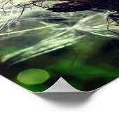 White Thistle Seed Fluff Sluiten Poster (Hoek)