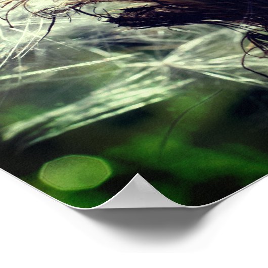 White Thistle Seed Fluff Sluiten Poster (Hoek)