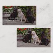 White Three Labrador haalt de zittende bloemen op Visitekaartje (Voorkant / Achterkant)