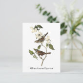White-throated Sparrow - John Audubon Briefkaart (Staand voorkant)