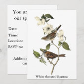 White-throated Sparrow - John Audubon Kaart (Voorkant / Achterkant)
