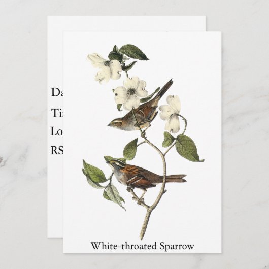 White-throated Sparrow - John Audubon Kaart (Voorkant / Achterkant)